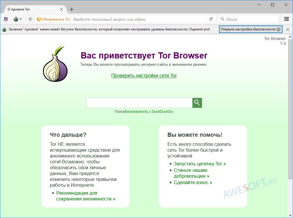 tor browser для айпада попасть на гидру